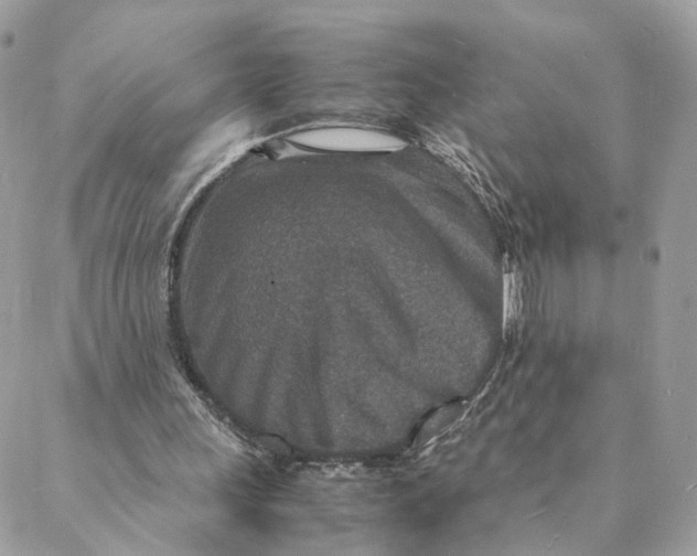 X0000088070243200706011520