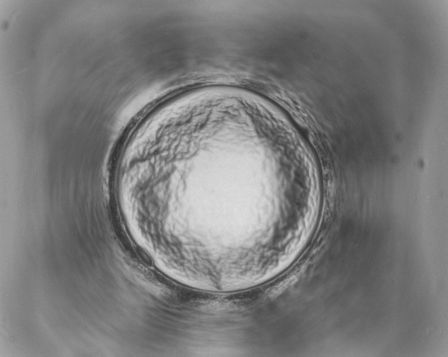 X0000088070246200706011521