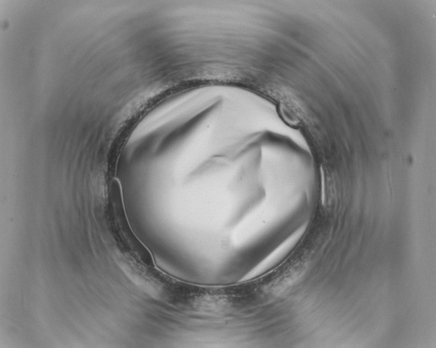X0000088070252200706011521