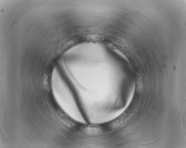 X0000088070270200706011521