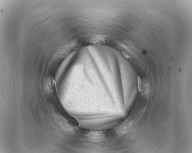 X0000088070280200706011521