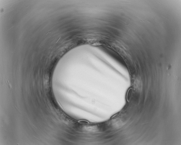 X0000088070283200706011521