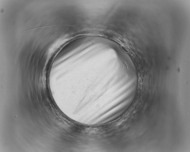 X0000088070294200706011520