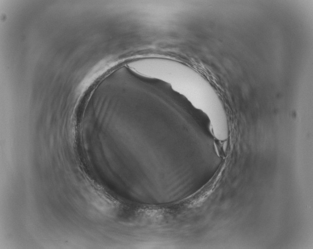 X0000088070295200706011520