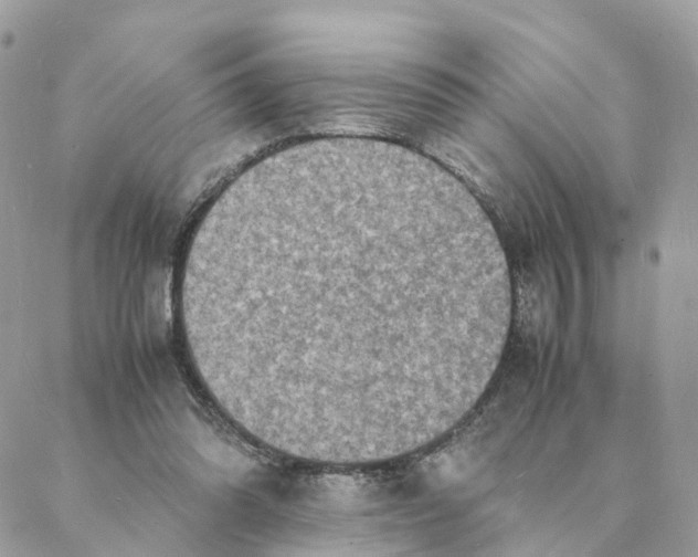 X0000088070302200706011520