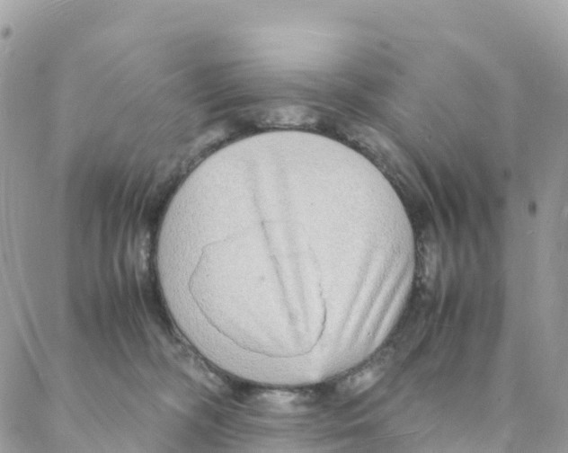 X0000088070326200706011520