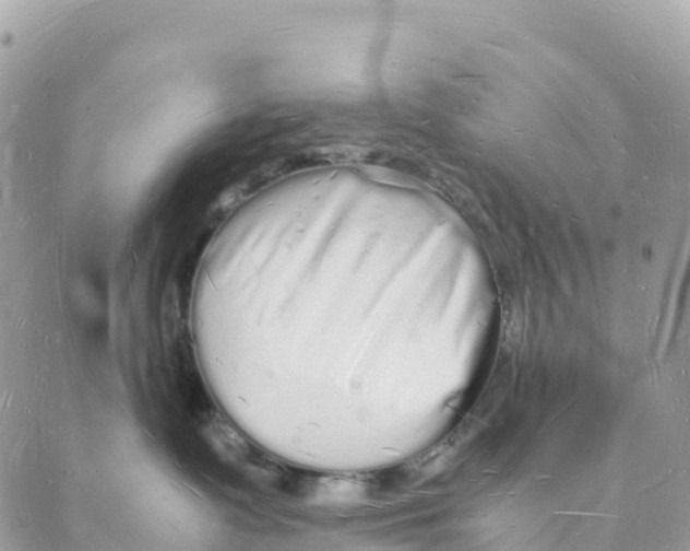 X0000088070335200706011520