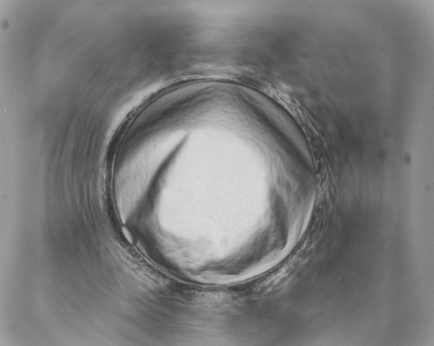 X0000088070342200706011519
