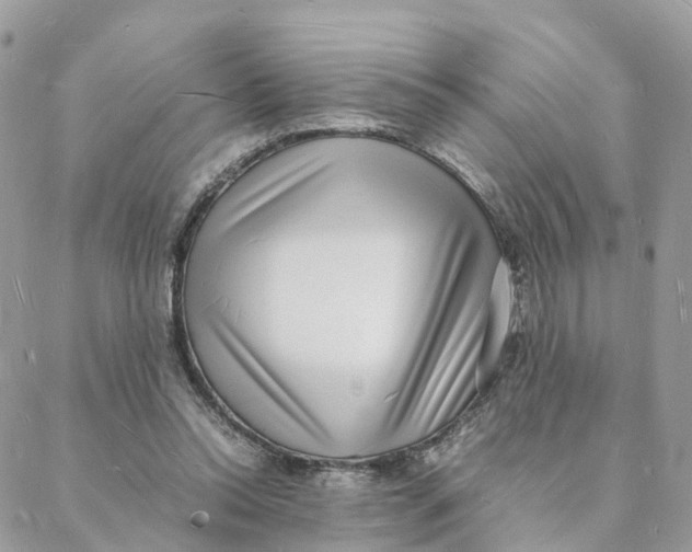 X0000088070350200706011519