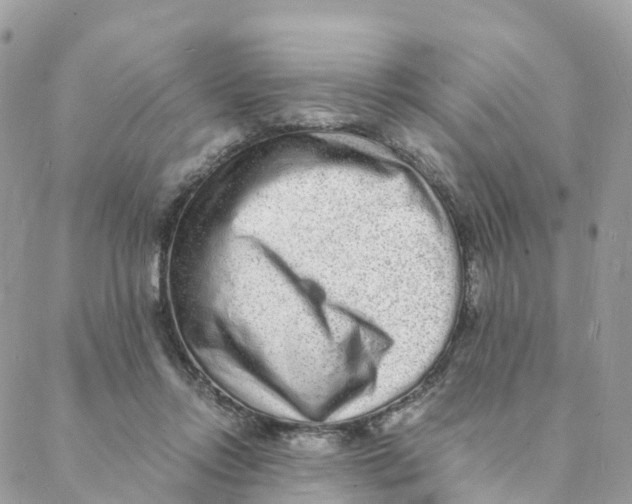 X0000088070358200706011519
