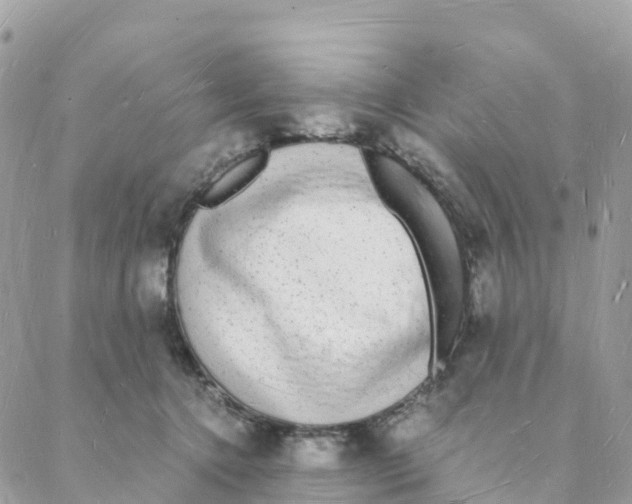 X0000088070368200706011519