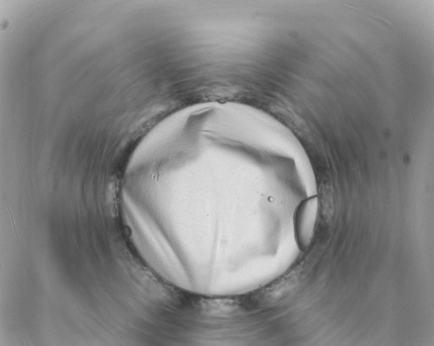 X0000088070378200706011520