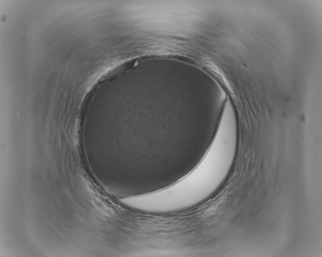 X0000088070387200706011519