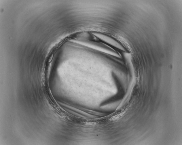 X0000088070388200706011519