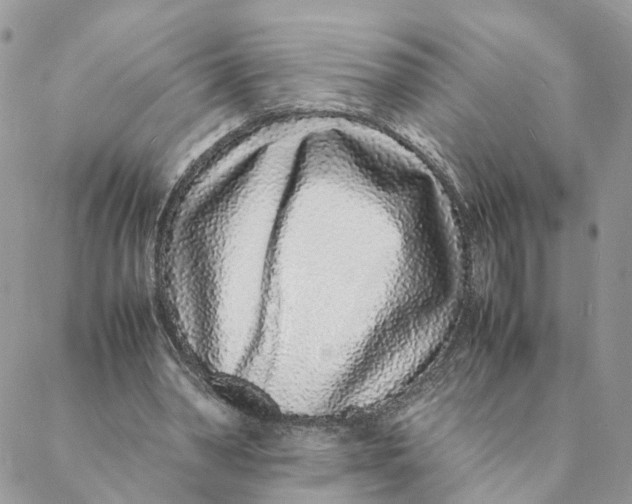X0000088070390200706011519