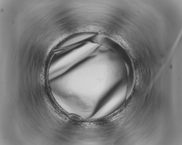 X0000088070392200706011519