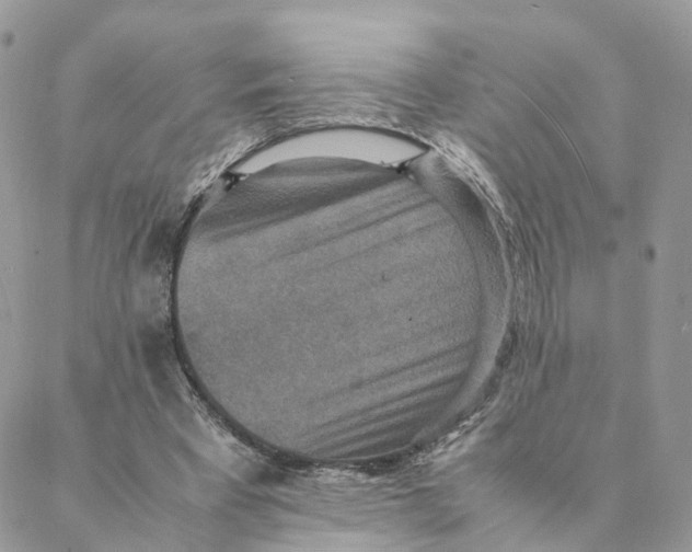 X0000088070393200706011519