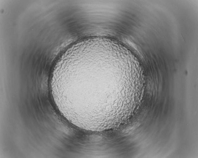 X0000088070394200706011519