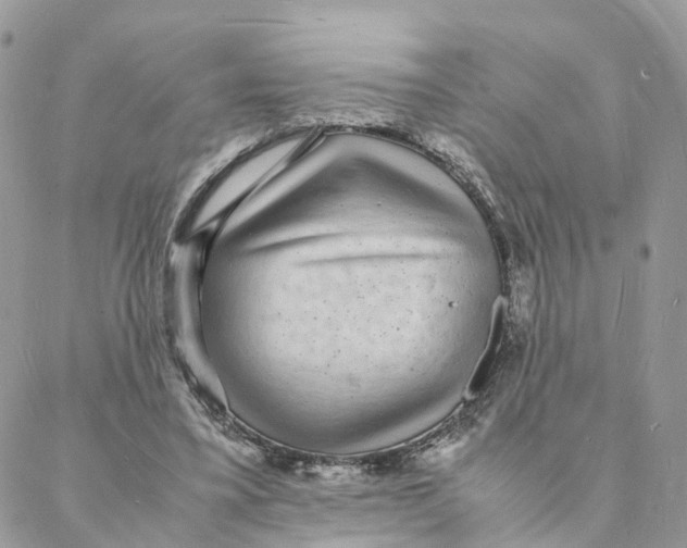X0000088070395200706011519