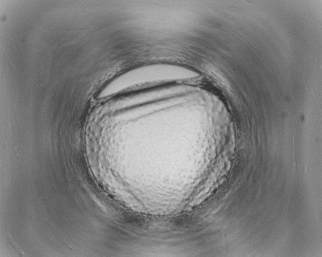 X0000088070401200706011519
