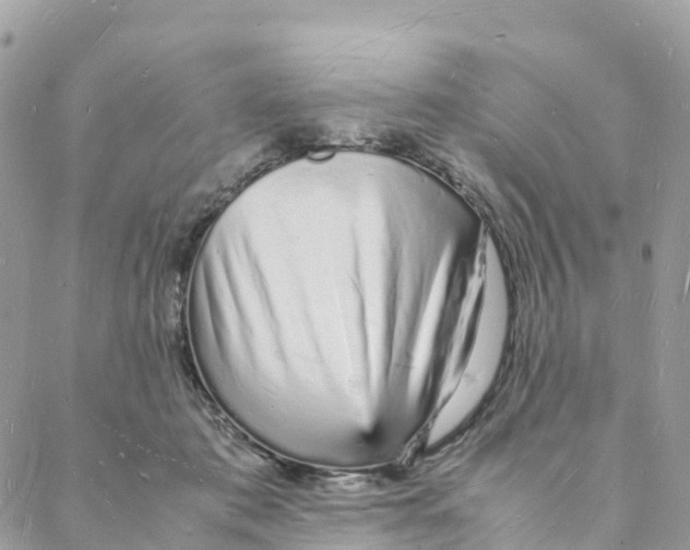 X0000088070413200706011518