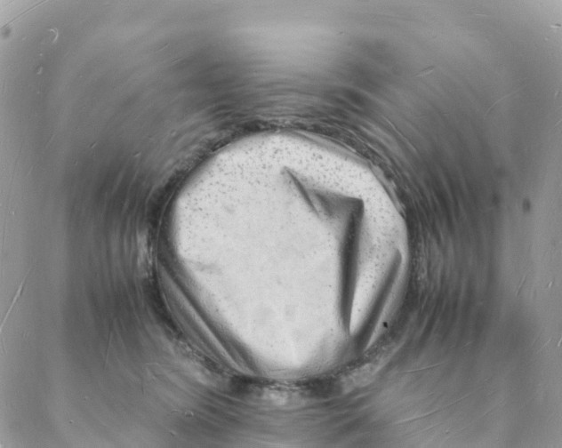 X0000088070420200706011518