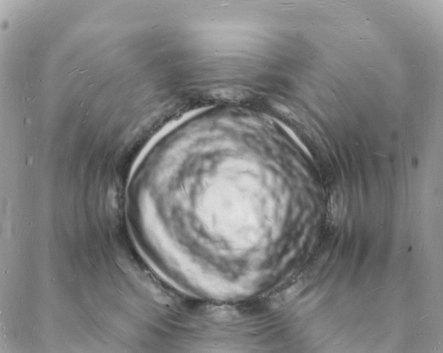X0000088070424200706011518