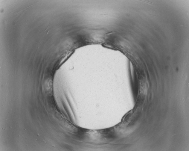 X0000088070425200706011518