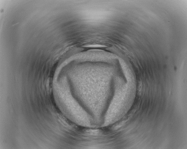 X0000088070428200706011518