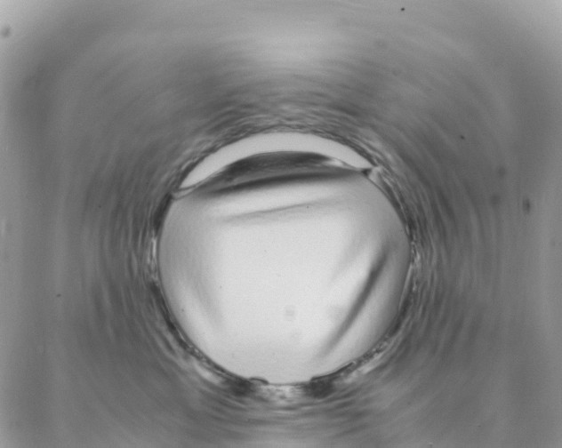 X0000088070429200706011518