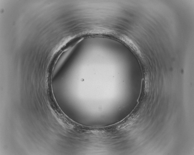 X0000088070436200706011517