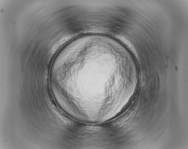 X0000088070437200706011517