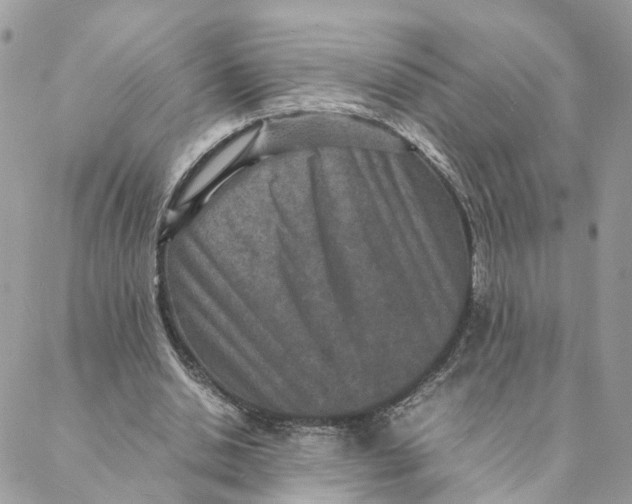 X0000088070438200706011517
