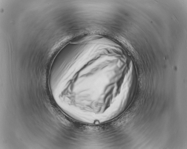 X0000088070442200706011517