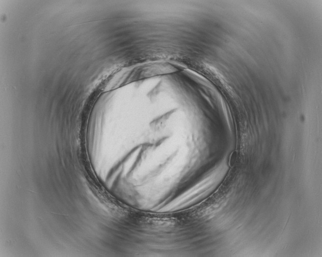 X0000088070443200706011517