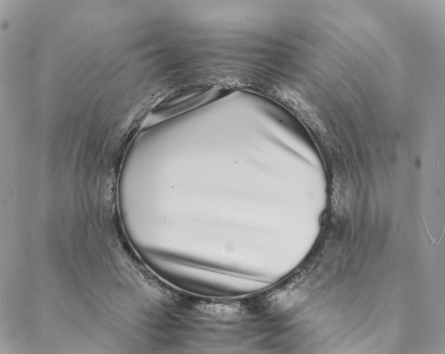 X0000088070449200706011518