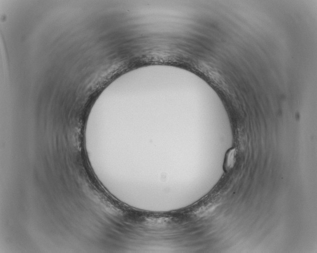 X0000088070450200706011518