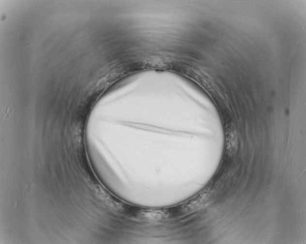 X0000088070466200706011518