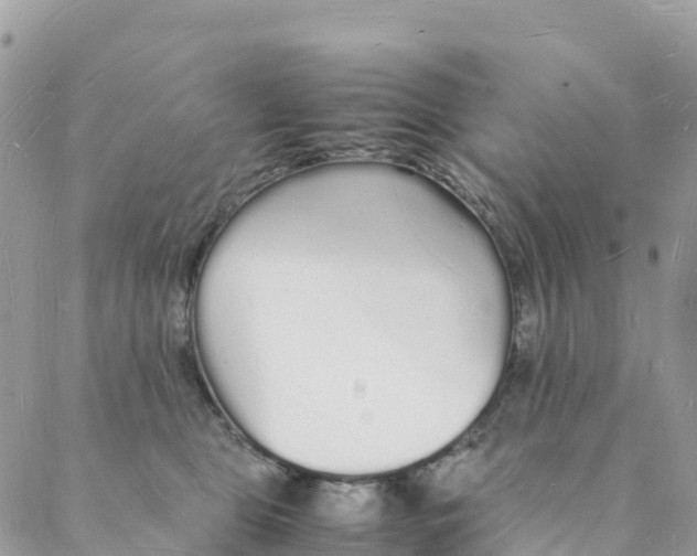 X0000088070469200706011518