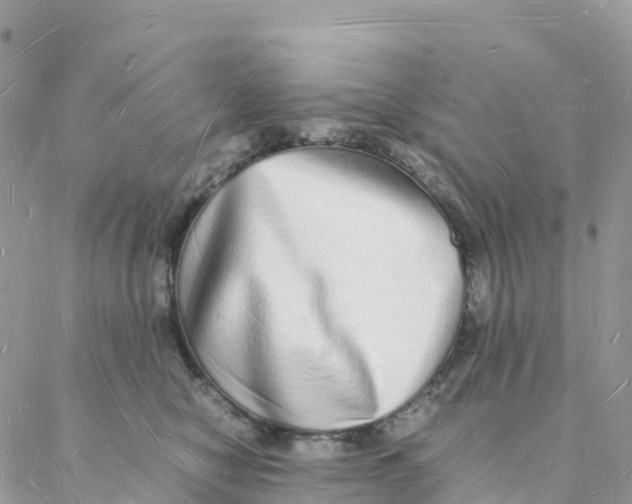 X0000088070470200706011518