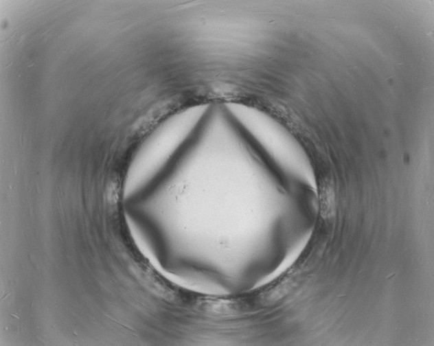 X0000088070472200706011518
