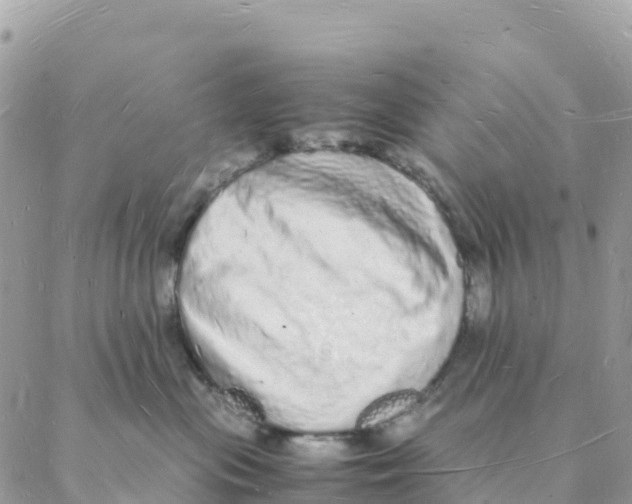 X0000088070477200706011518