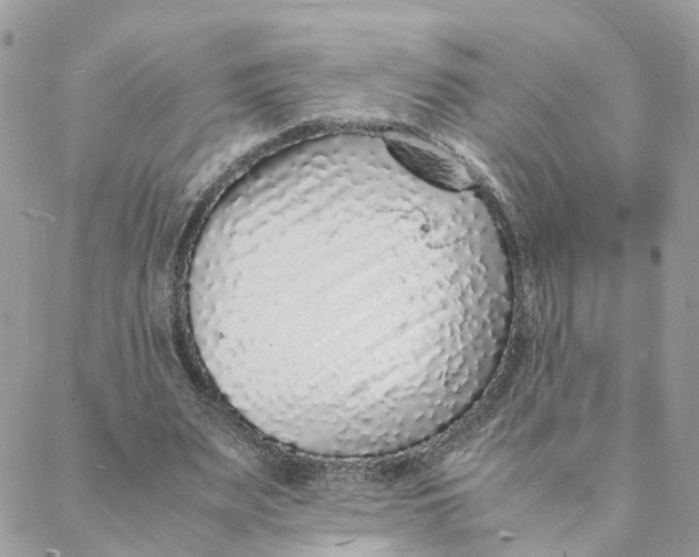 X0000088070487200706011517