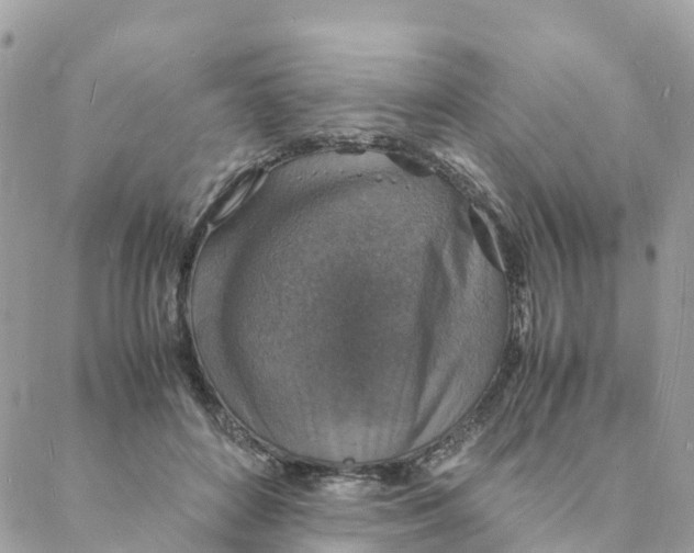 X0000088070504200706011517
