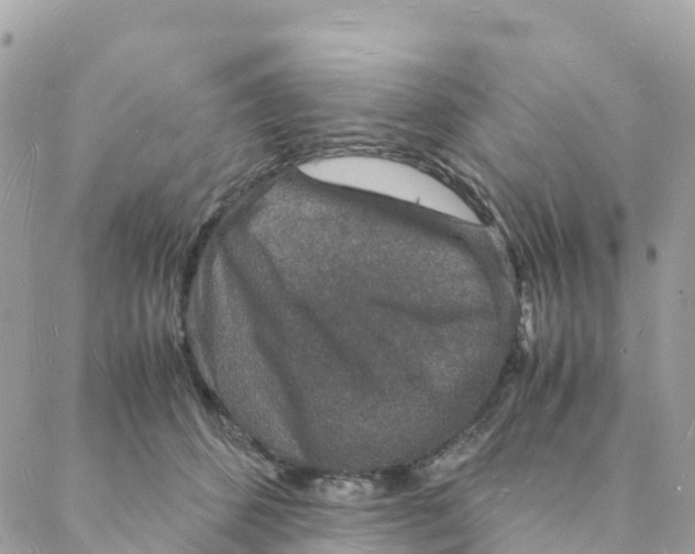 X0000088070512200706011517