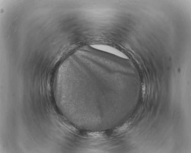 X0000088070516200706011517