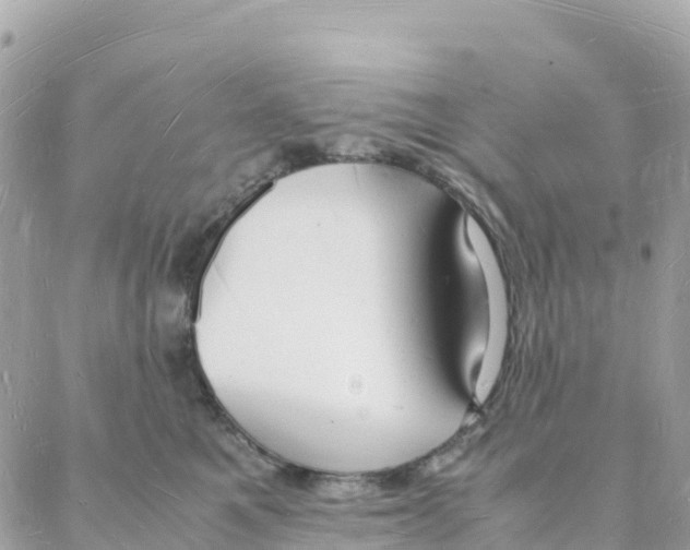 X0000088070521200706011517