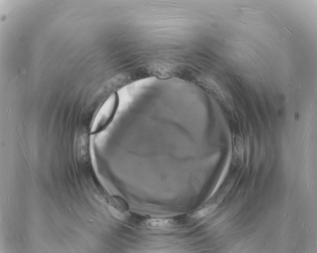 X0000088070526200706011517