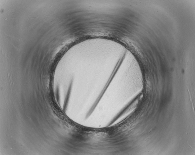 X0000088070539200706011516