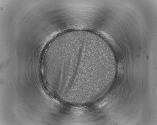 X0000088070540200706011516